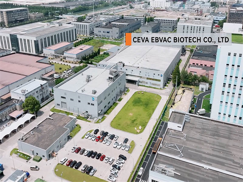 プロジェクト事例:ceva ebvac biotech co ., ltd